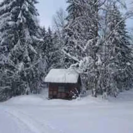 Piller * Hohenau